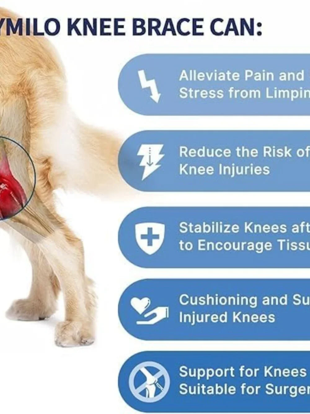 Dog Knee Brace for Hind Leg Support, Helps Stabilize ACL